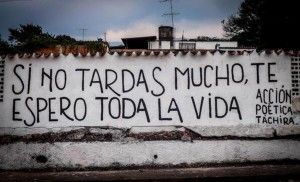Acción Poética